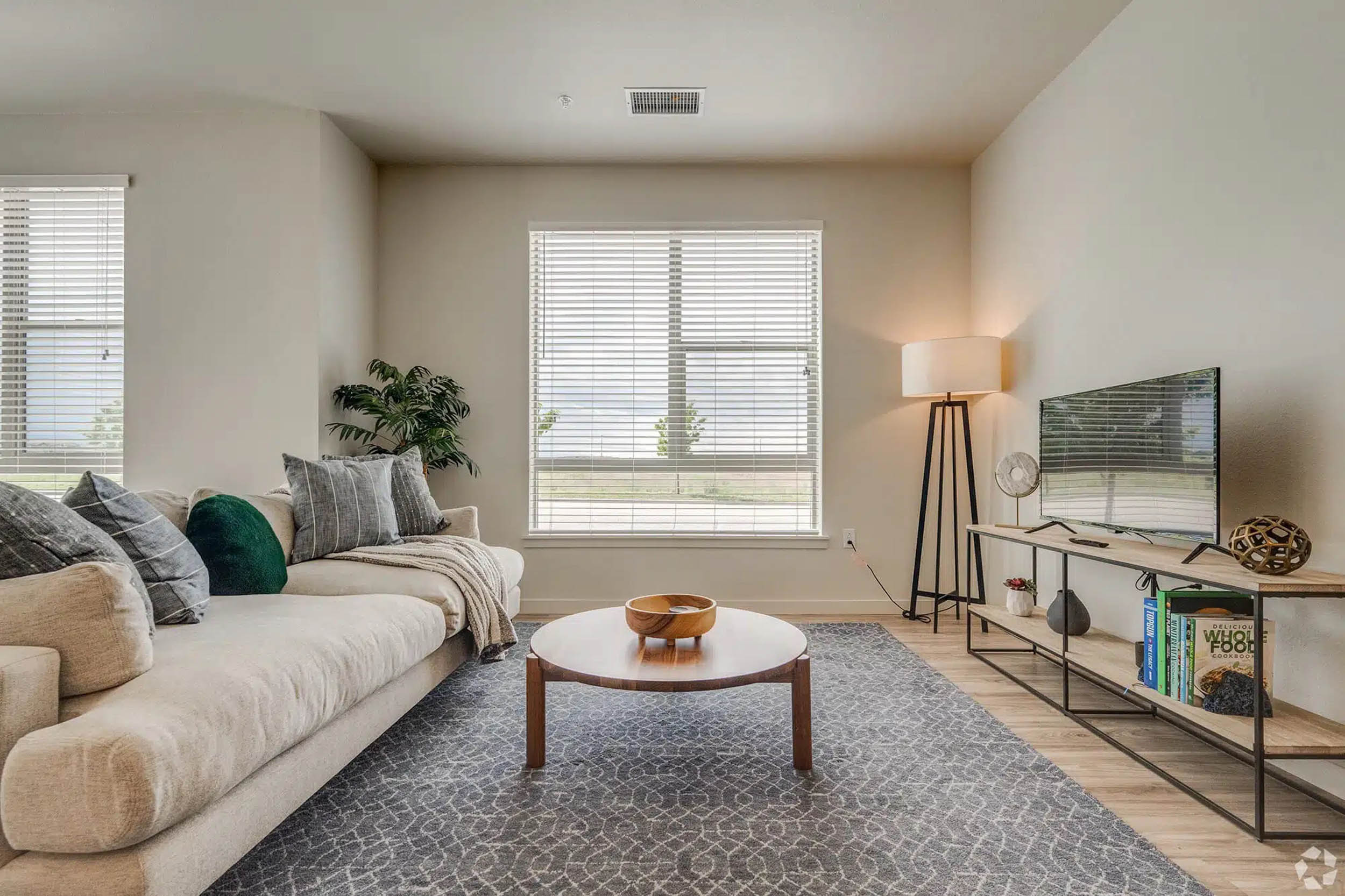 Living room with modern furniture